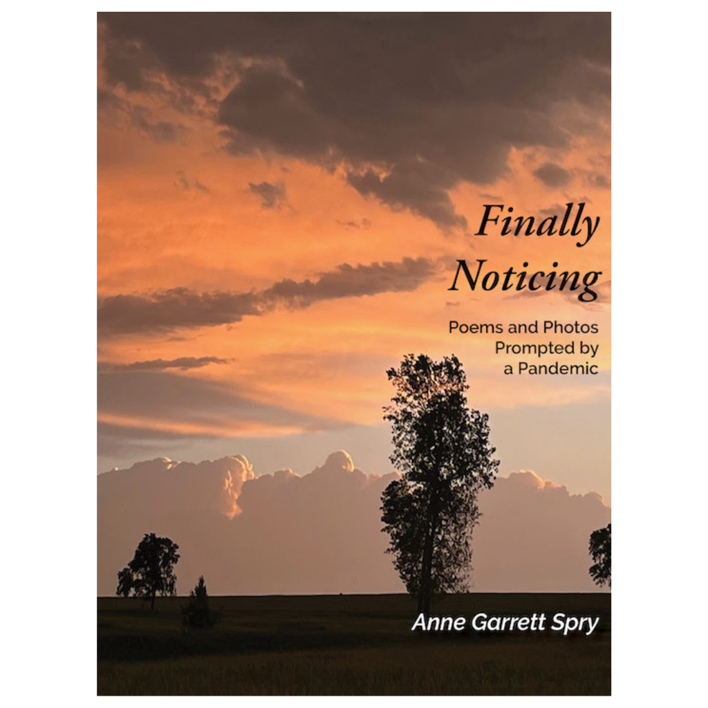 Finally Noticing: Poems and Photos Prompted by a Pandemic