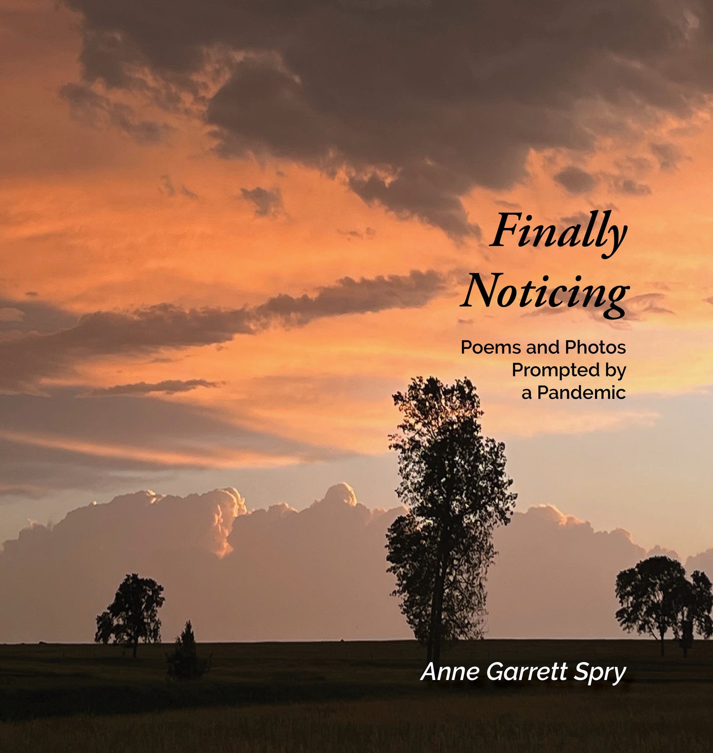 Finally Noticing: Poems and Photos Prompted by a Pandemic